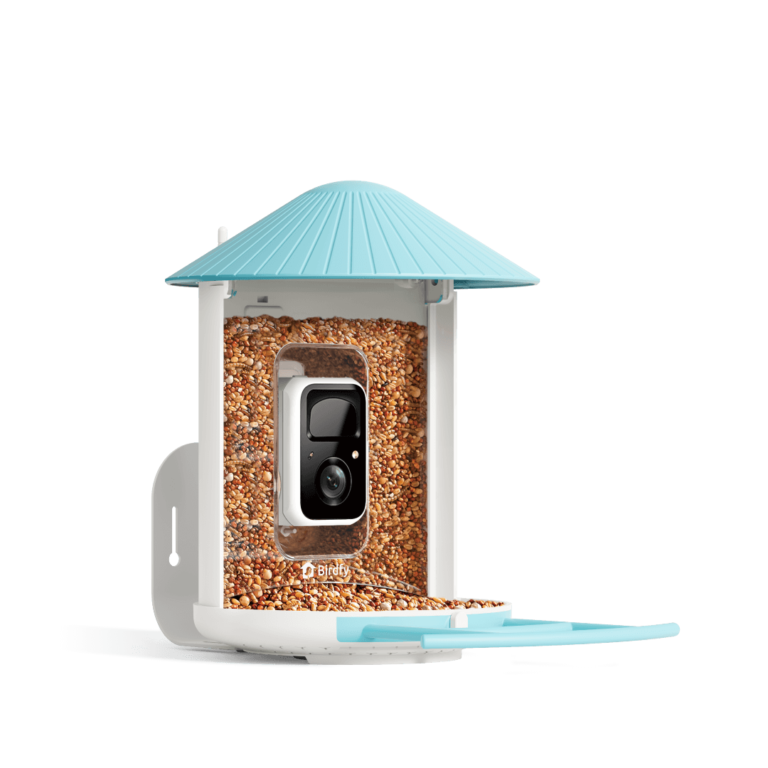 Birdfy Feeder 1 with blue roof, seed bin, perch, and front camera